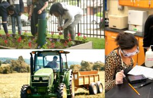 Farming Industry Faces Challenges