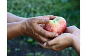 Generosity in Action: The Power of Donations Generosity in Action: The Power of Donations