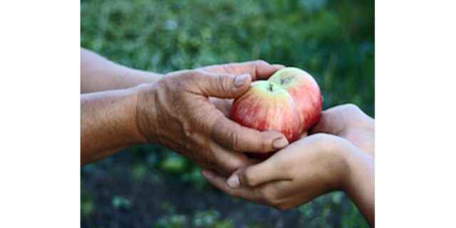 generous-wide Generosity in Action: The Power of Donations